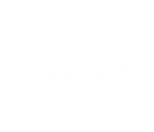 big selfix Logo